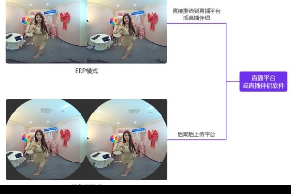 ERP 模式与双鱼眼模式推流示意
